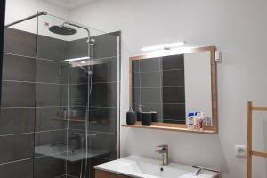 uma casa de banho com um chuveiro, um lavatório e um espelho. em Appartement cosy proche la Part Dieu em Lyon