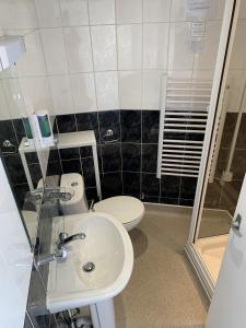 a bathroom with a sink and a toilet at Traeth Rooms in Cardigan