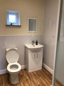 a bathroom with a white toilet and a sink at Carnach in Fort William