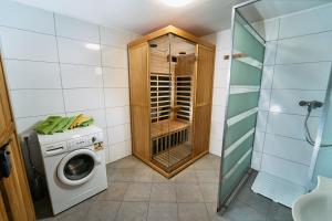 lavadero con lavadora y ducha en Princess's vineyard cottage, en Mirna Peč