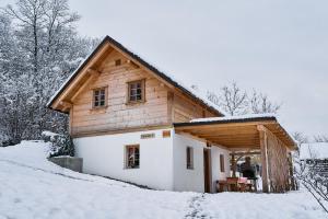 una casa con techo de madera en la nieve en Princess's vineyard cottage, en Mirna Peč