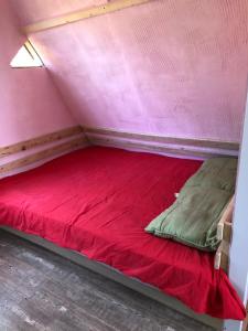 a bed in a pink room with a red sheet at Деревенский домик in Chakvi