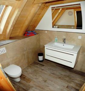 a bathroom with a white sink and a toilet at Ferienhaus In der Erlebach in Elmstein