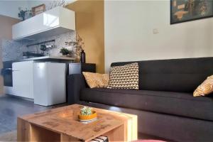 - un salon avec un canapé et une table basse dans l'établissement Duplex Canal du Midi, à Toulouse