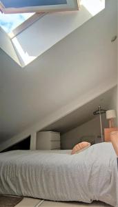 - une chambre avec un lit et une lucarne dans l'établissement Duplex Canal du Midi, à Toulouse