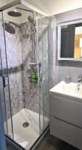 La salle de bains est pourvue d'une douche et d'un lavabo. dans l'établissement Duplex Canal du Midi, à Toulouse