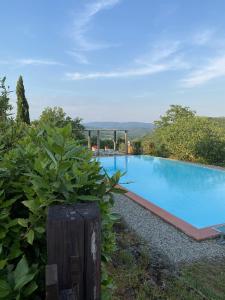 a swimming pool in a yard next to at Villa Castellina - Homelilke Villas in Castellina in Chianti