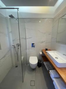 a bathroom with a shower and a toilet and a sink at Danae Hotel in Egina