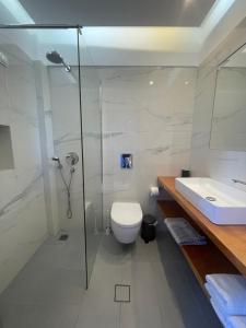 a bathroom with a shower and a toilet and a sink at Danae Hotel in Egina