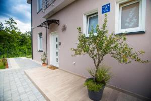 Vonkajšia záhrada v ubytovaní Villa Isabella
