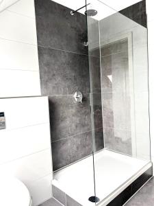 eine Dusche mit Glastür im Bad in der Unterkunft Amazing & design 2-room apartment near Cologne in Trompete