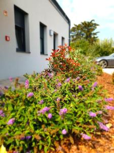 Vonkajšia záhrada v ubytovaní Silver Lodge Apartments Eger
