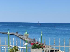 a dock with flowers and a boat in the water at Hotel Oasis - Beach Access in Balchik