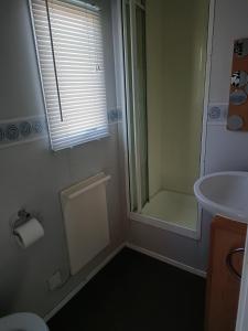 een badkamer met een douche, een wastafel en een spiegel bij Stevies van in Tunstall