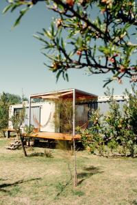 a house in a field with a tree at Las Guaras Valle de Uco in Tunuyán