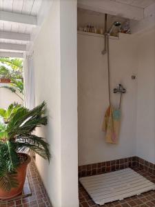 - Baño con ducha y planta en una habitación en The Garden House alla Scala dei Turchi, en Realmonte