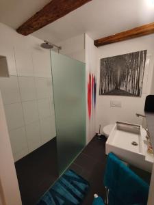 La salle de bains est pourvue d'un lavabo et d'une douche. dans l'établissement Studio am Vierwaldstättersee, à Lucerne