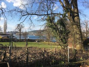 a fence in front of a field with a tree at Studio am Vierwaldstättersee in Horw
