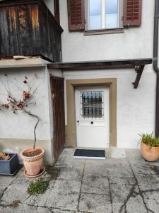 a front door of a house with two potted plants at Studio am Vierwaldstättersee in Luzern