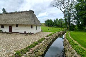 Příroda nedaleko bed and breakfast