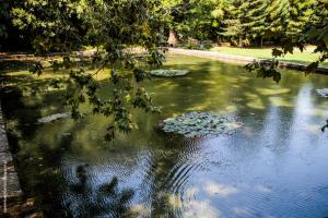 a pond with lily pads in the water at Hotel Quinta das Lagrimas - Small Luxury Hotels in Coimbra
