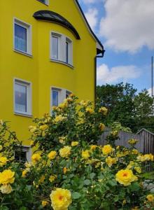 uma casa amarela com flores amarelas à frente dela em Haus Herzog em Bad Steben