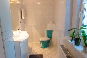 ein Badezimmer mit grünem WC und Waschbecken in der Unterkunft Ferienwohnung Heinrich in Kröslin