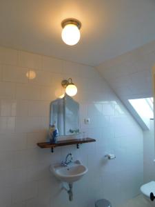 een badkamer met een wastafel en een spiegel bij La Maison du Cerf in Urciers
