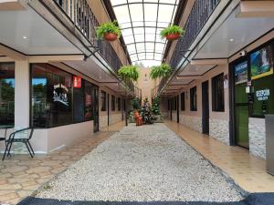 un couloir vide d'un bâtiment avec des plantes au plafond dans l'établissement HOTEL DEL RiO, à Liberia