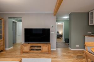 TV a/nebo společenská místnost v ubytování Loode lux with sauna