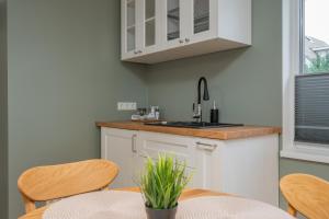 Kuchyň nebo kuchyňský kout v ubytování Loode lux with sauna