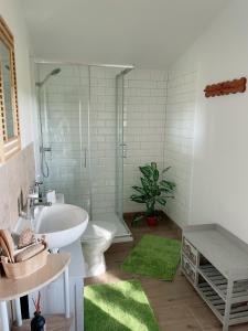 a bathroom with a white sink and a toilet at Landhaus mit Pool, Bungalow in der Natur in Hohenbollentin