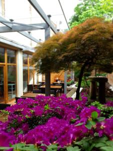 a bunch of purple flowers in a garden at LONDON Boutique hotel & Restaurant in Trnava