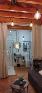 ein Wohnzimmer mit einem Sofa und einer Dusche in der Unterkunft Corredera Travel 5 in Córdoba
