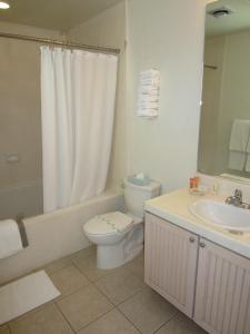 Carousel Beach Inn tesisinde bir banyo