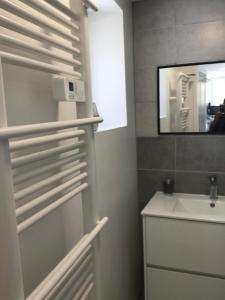 uma casa de banho com um lavatório e um espelho em Maisonnette cosy à Châtillon-Coligny em Châtillon-Coligny