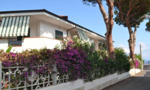 a white house with purple flowers on a fence at Casamareblu in Parghelia