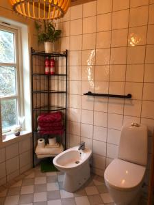łazienka z toaletą i umywalką w obiekcie Villa Rørvik w mieście Svelvik