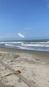 um ramo na areia numa praia com o oceano em Arcoiris Casahostal em San Bernardo del Viento