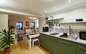 a kitchen with green cabinets and a table in it at Banská Štiavnica - Apartmán 1 in Banská Štiavnica