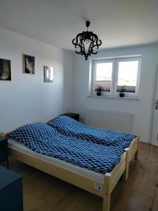 - une chambre avec un lit avec une couette bleue et 2 fenêtres dans l'établissement Apartament Oliwia, à Grywałd