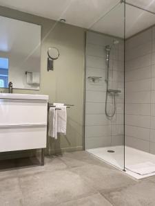 ein Bad mit einer Dusche und einer Glastür in der Unterkunft Hôtel Les Hauts de Meursault in Meursault