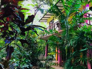 En hage utenfor Gangadiya Lodge