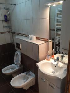 uma casa de banho com um lavatório, um WC e um espelho. em Peaceful Oasis - house for rest and relaxation em Bosanska Krupa