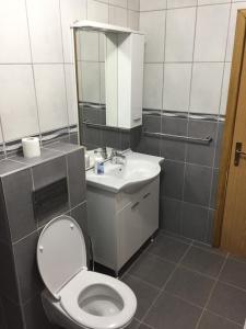 uma casa de banho com um WC e um lavatório em Peaceful Oasis - house for rest and relaxation em Bosanska Krupa