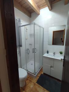 La salle de bains est pourvue d'une douche, de toilettes et d'un lavabo. dans l'établissement Casa Caminho da Barca, à Madalena