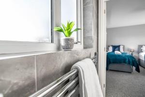 uma casa de banho com um radiador e uma planta numa janela em 8 Beds Denmark House em Norwich