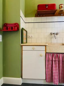 uma cozinha com paredes verdes e uma bancada em De Oude Pastorie em Bunschoten