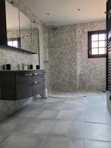 bagno con lavandino e doccia di Chambre d'hôte à la villa René a Saint-Génis
