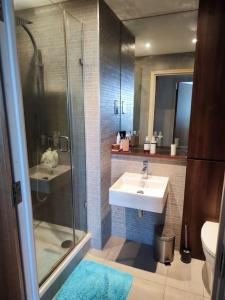 a bathroom with a glass shower and a sink at Cosy and spacious apartment in Forest Hill in Forest Hill